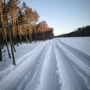 IMG_20260203_102438